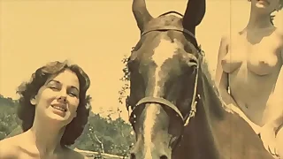 141 horse porn videos